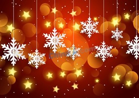 梦幻光晕雪花背景矢量